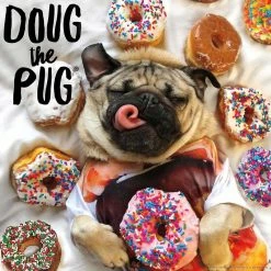New 🤩 Buffalo Games 300 Pieces Donut Doug ⭐