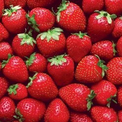 Promo 😀 RoseArt 100 Pieces Cra-Z Super Strawberries ✨