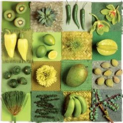 New 💯 Educa 500 Pieces Exotic Fruits And Flowers ⭐