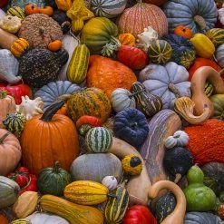 Outlet 😉 Vermont ❄ Christmas Company 1000 Pieces Autumn Harvest 😉